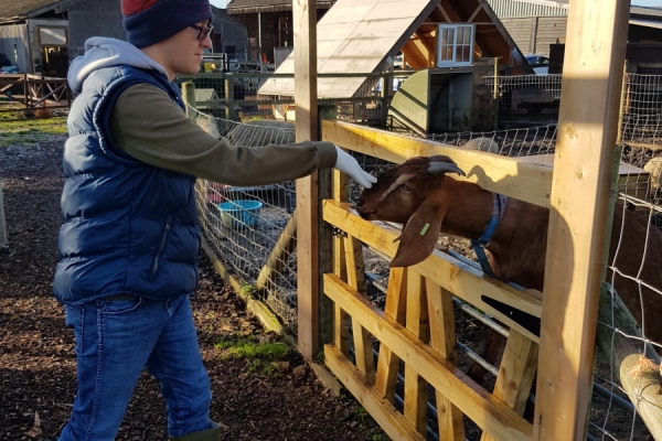 Spending time with animals
