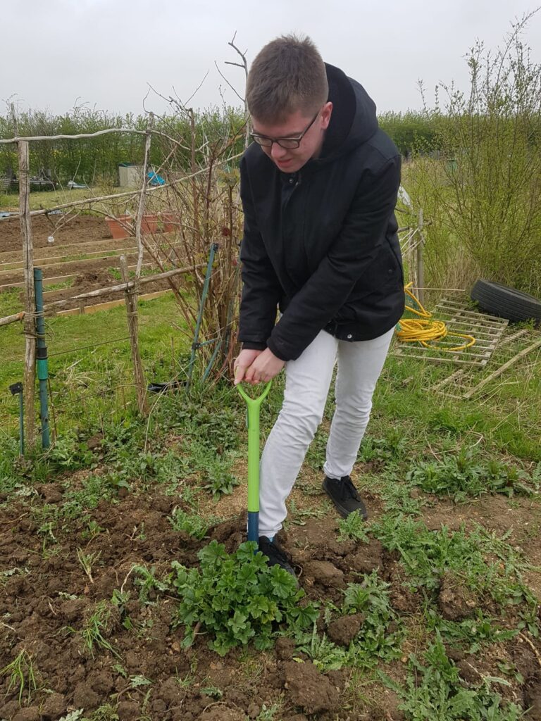 Gardening 4