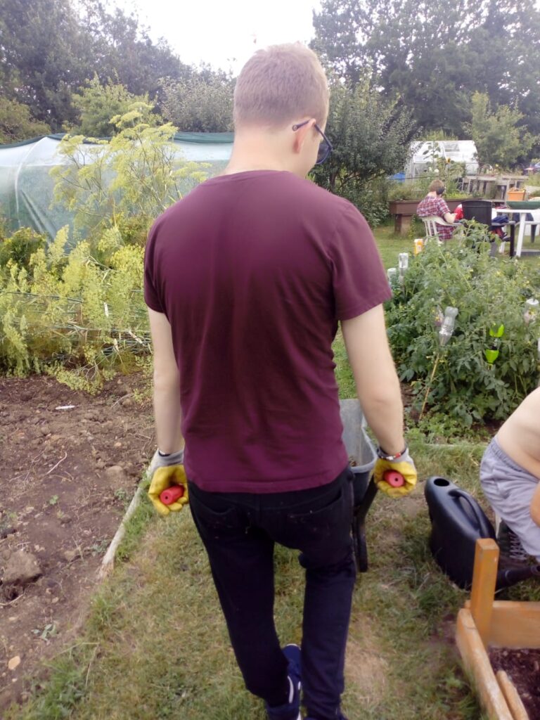 Gardening 6