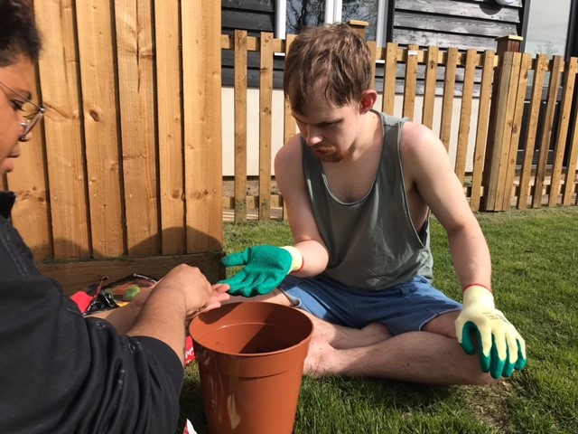 Gardening 8