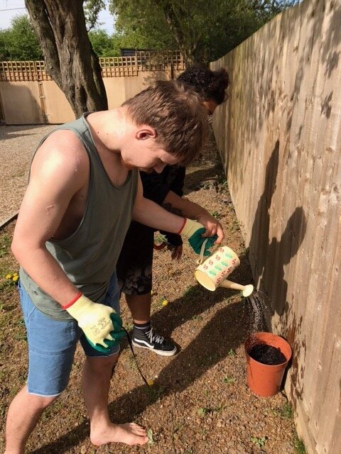 Gardening 9
