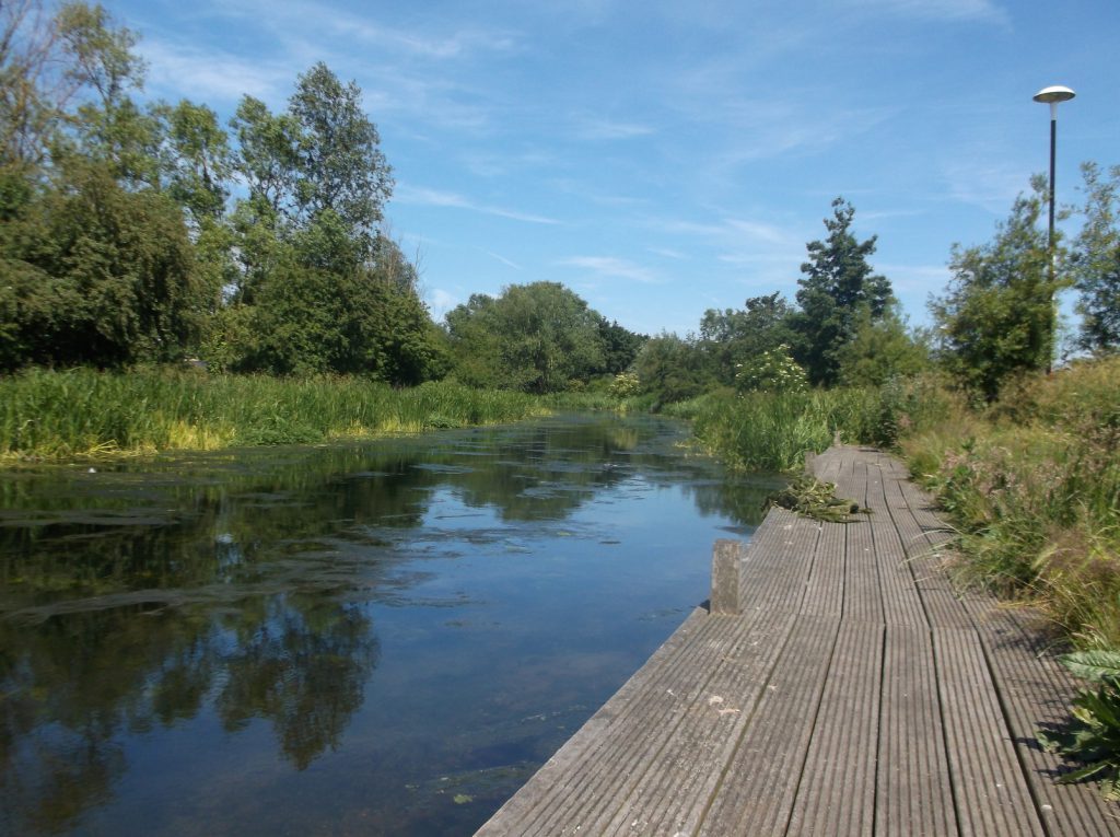 Walk