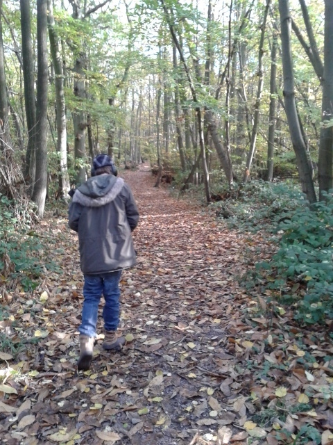 Walking-2