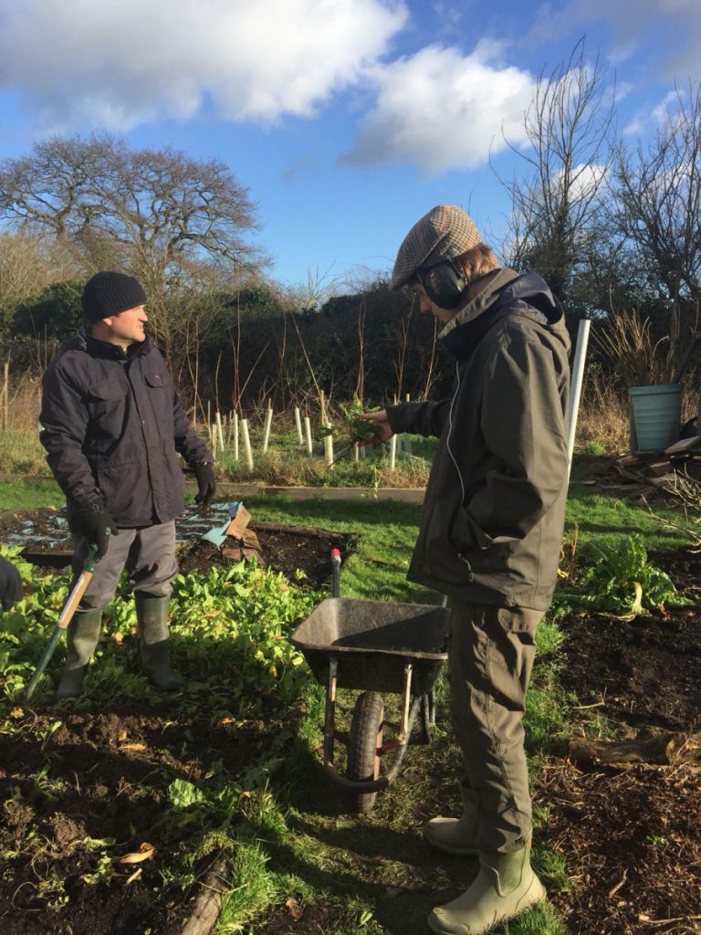 Web-Allotment-3-1